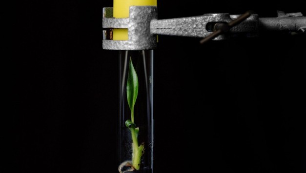 Yann Mingard | 15.05.2016